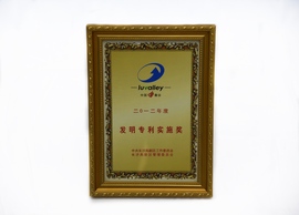 ����һ����ȷ���ר��ִ�н�