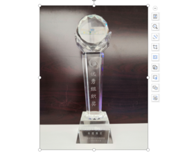 2008����ȸ߼�����ҵ��ʮ��ɾ�ר��չ����������֯����