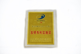 ��ɳ������������һ��ȷ���ר��ִ�н�